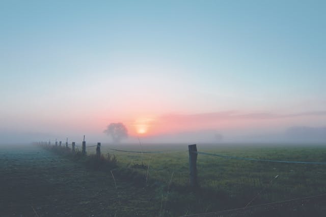 Frühe