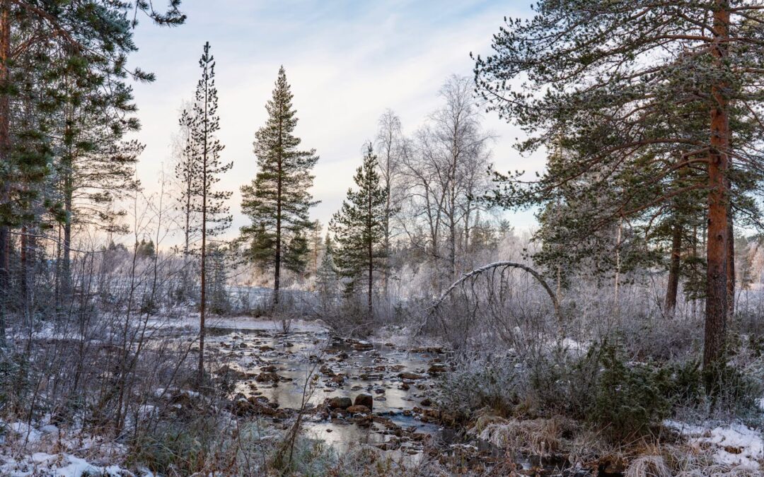 Vor lauter Lauschen und Staunen